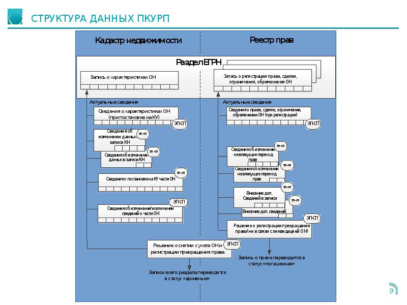 Структура росреестра схема