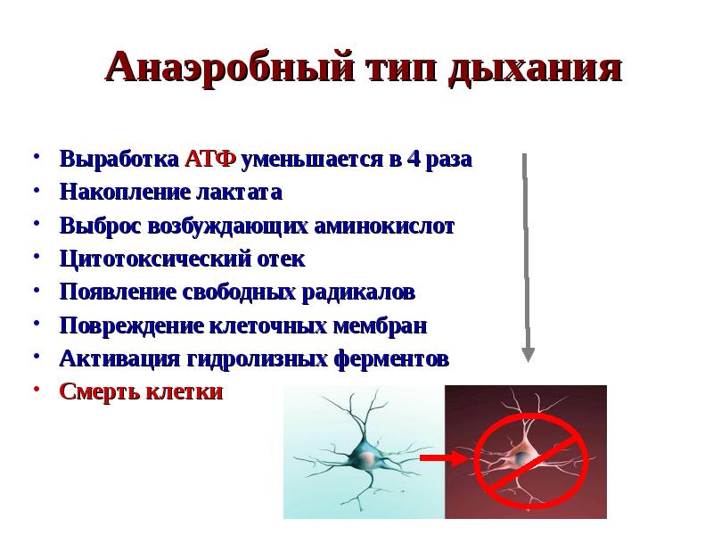 Анаэробное дыхание. Анаэробны й ти дыхания. Анаэробный Тип. Бескислородный Тип дыхания.