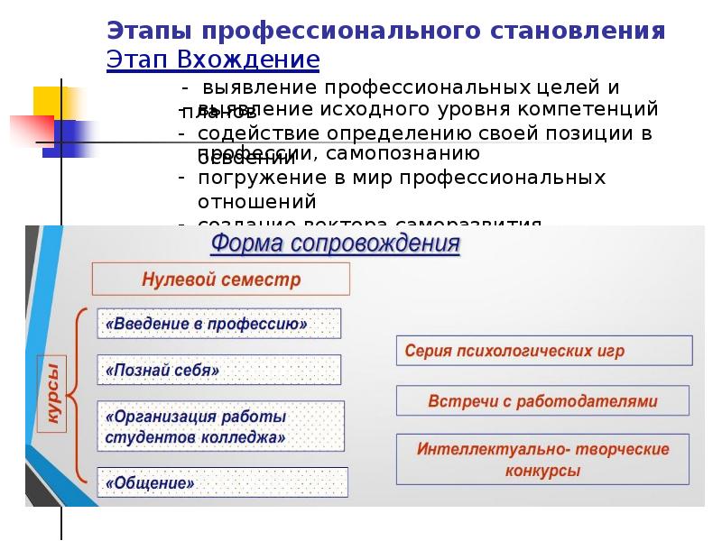 Этапы становления профессионала