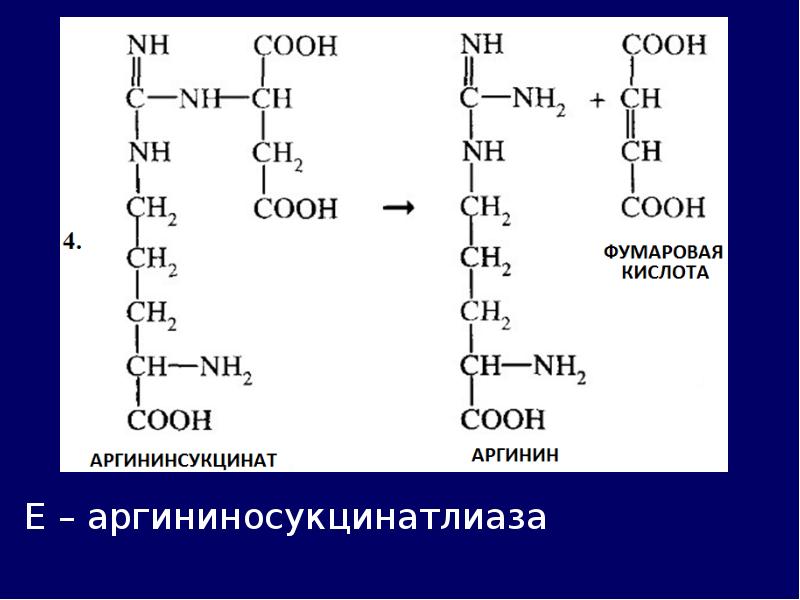 Схему активации пепсиногена