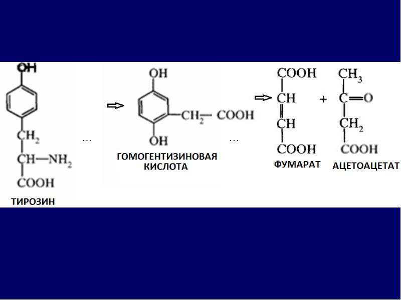 Тирозин фермент. Синтез гомогентизиновой кислоты. Формула гомогентизиновой кислоты. Образование гомогентизиновой кислоты. Гомогентизиновая кислота образуется из.