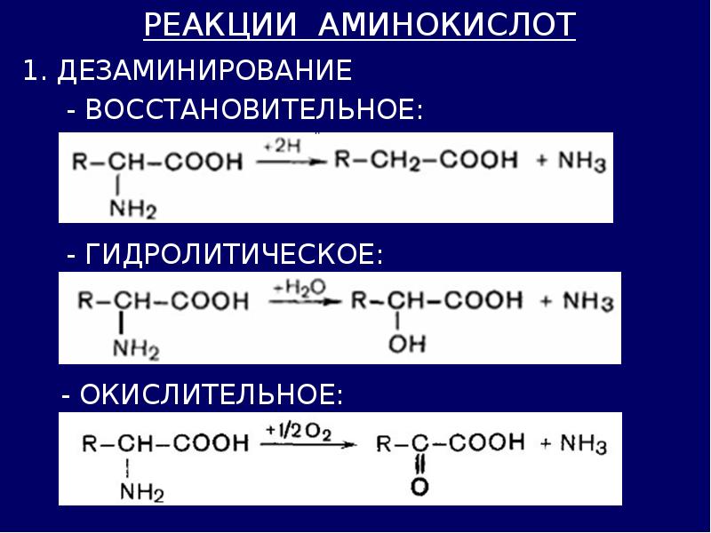 Аминокислоты 2 вариант. Реакции непрямого окислительного дезаминирования аминокислот. Продукты восстановительного дезаминирования аминокислот. Реакция дезаминирования аминокислот. Реакция дезаминирования Альфа аминокислот.