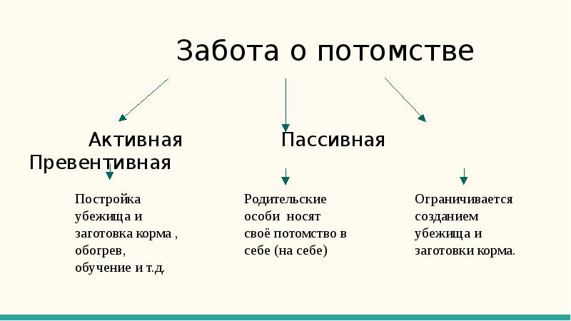 Составьте план параграфа забота о потомстве 9 класс