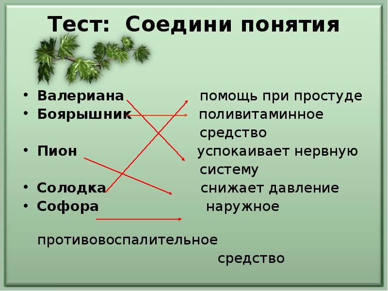 Красная книга краснодарского края презентация