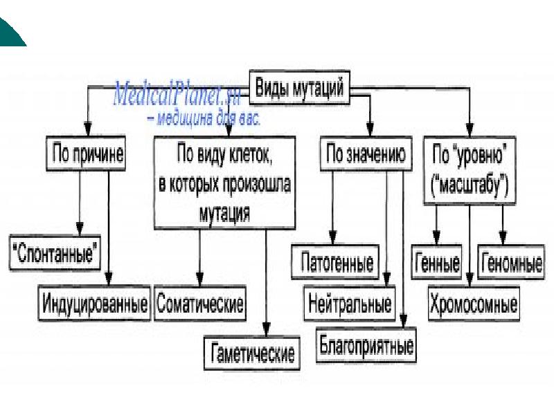 Grounded мутации как получить