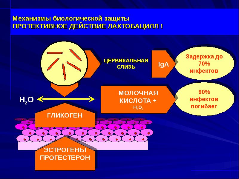 Воспаление женских органов презентация