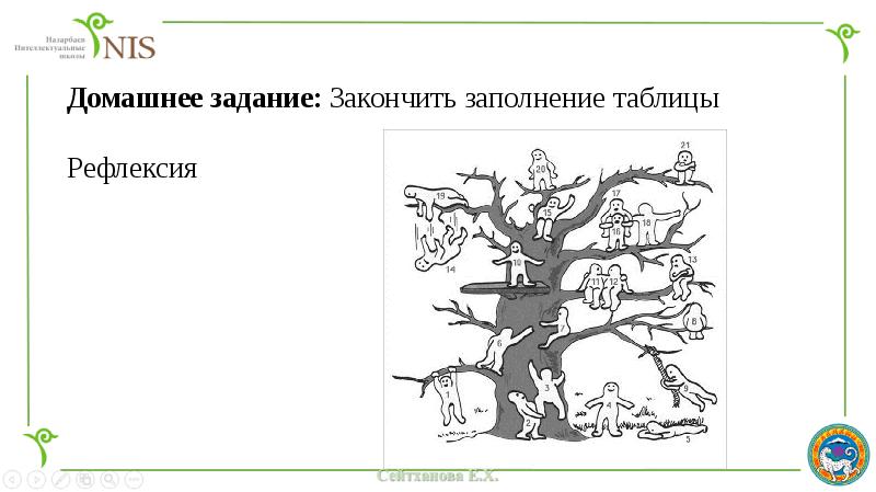 Критерии успеха: выделяет особенности жизненных циклов отделов голосеменных и покрытосемянных растений.