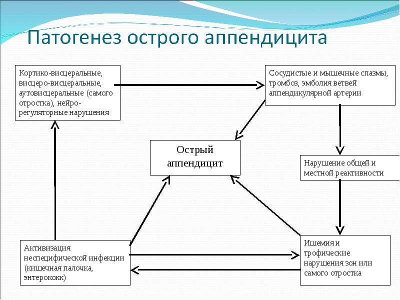 Блок схема аппендицит