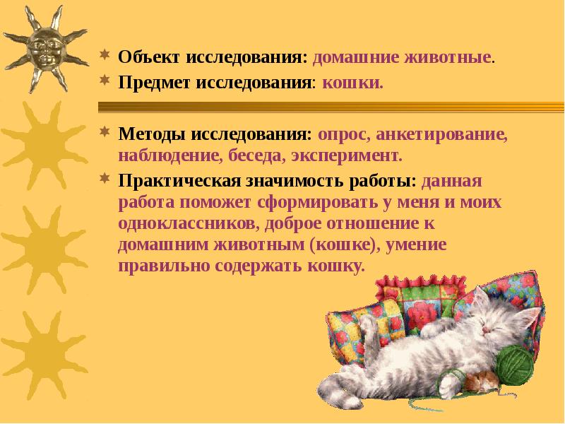 Цель кошка. Методы исследования кошек. Методы изучения кошки. Методы и средства исследования домашних питомцев. Объект исследования животные.