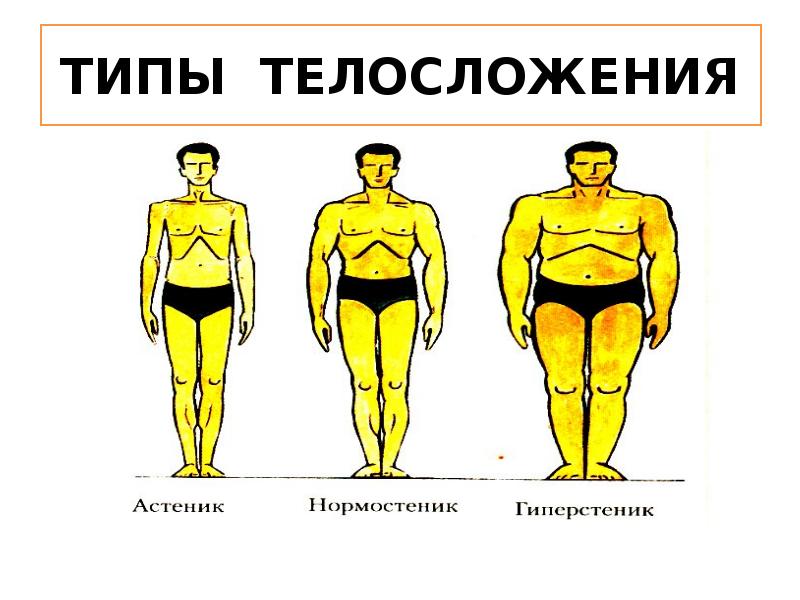 Нормостеническое телосложение у мужчин что это такое фото