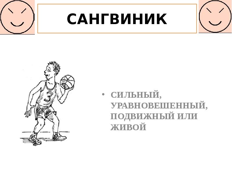 Подвижный тип. Сильный уравновешенный подвижный Тип темперамента. Сангвиник сильный уравновешенный. Сильный уравновешенный подвижный. Сангвиник сильный уравновешенный подвижный или живой.