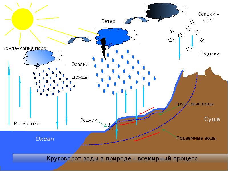 Какими буквами на схеме круговорота воды отмечены ответы