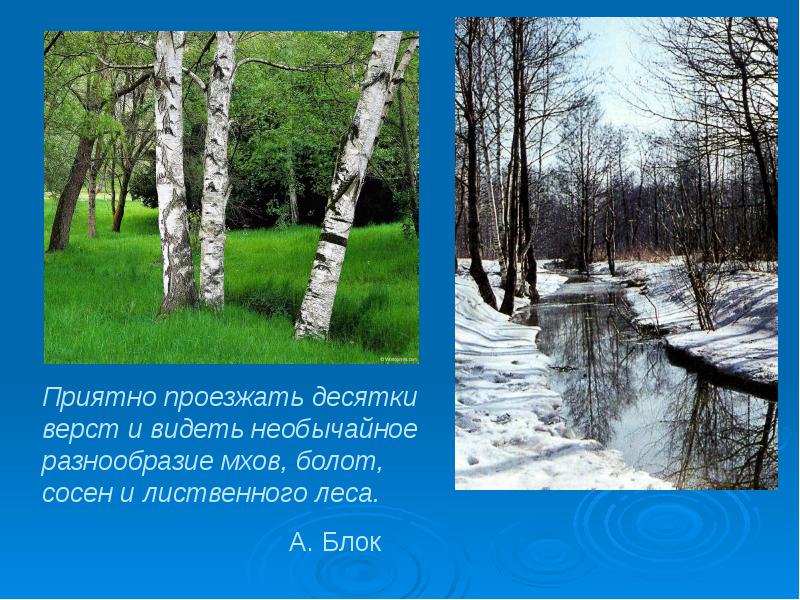 Урок сочинение описание природы. Красивые описания природы 3 класс. Описание прекрасной природы. Как красиво описать природу. Как описать природу красивыми словами.