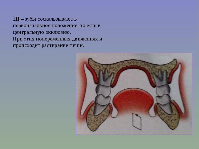 Центральная окклюзия и центральное соотношение челюстей презентация