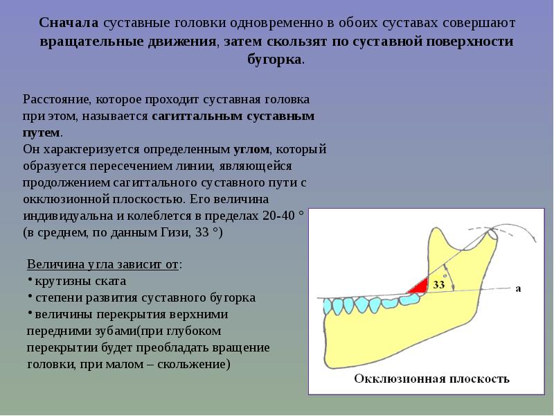 Биомеханика нижней челюсти. Сагиттальный суставной путь. Сагиттальный суставной путь ВНЧС. Угол сагиттального суставного и резцового пути. Сагиттальные движения нижней челюсти.