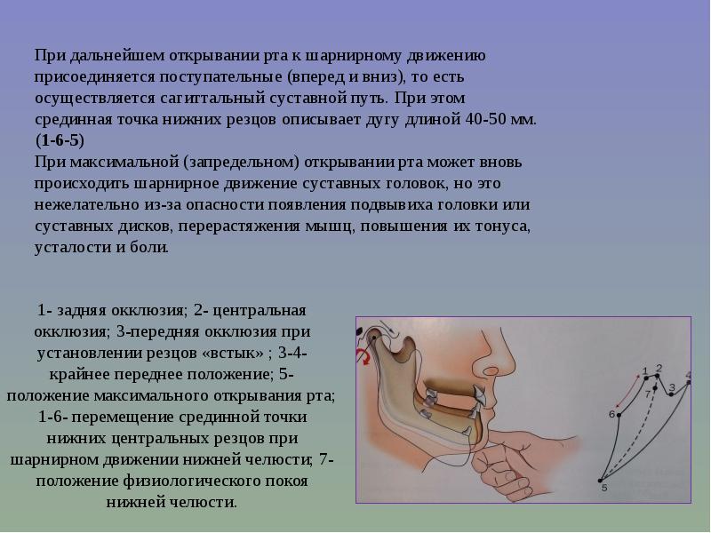 Во сколько открывать рот. Движения ВНЧС биомеханика. Биомеханика движений нижней челюсти. Шарнирные движения нижней челюсти. Движения нижней челюсти.