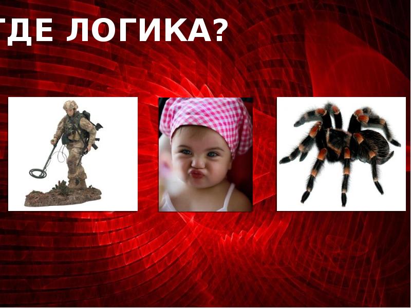 Где логика физика презентация