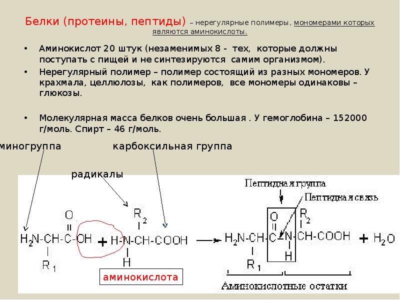 Определить массу полипептида. Полимеры мономерами которых являются аминокислоты. Белки (протеины, полипептиды). Пептиды протеина. Пептид это белок.