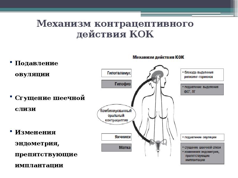 Кок по контрацептивной схеме