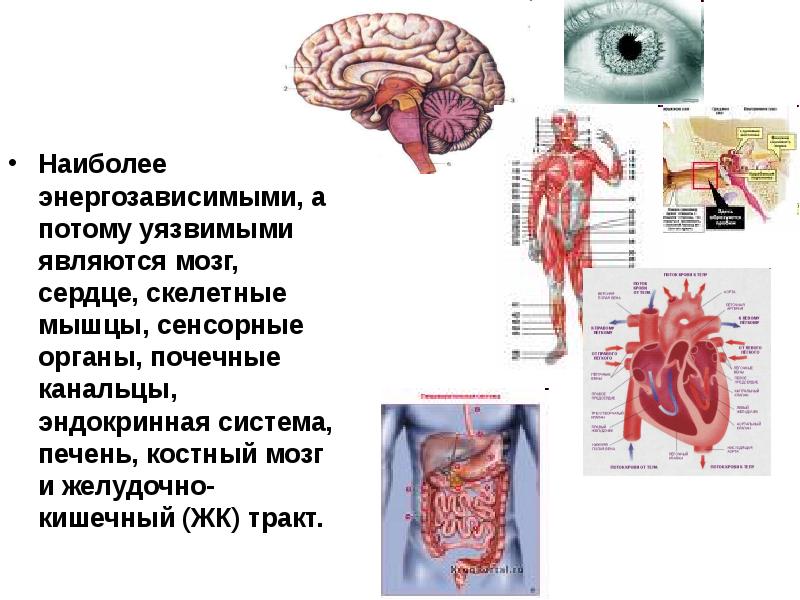 Уязвимые сайты. Гидроксиды электролиты или нет. Виды шкал номинальная. Наиболее слабой является. Самое уязвимое программное обеспечение.