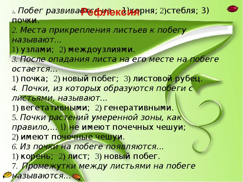 Место прикрепления листьев к побегу называется. Место прикрепления листа. Место прикрепления листа к стеблю. Место прикрепления листьев к побегу называется. Прикрепление листа к стеблю.