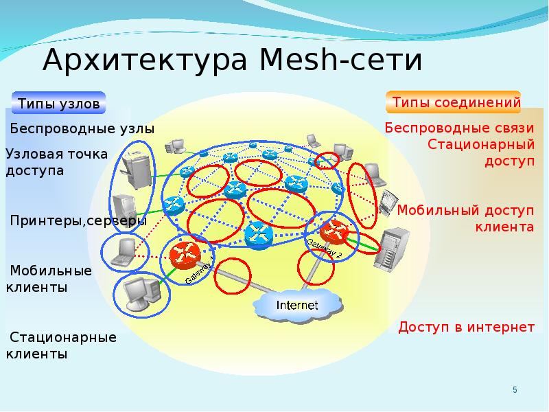 Алгоритмы сети