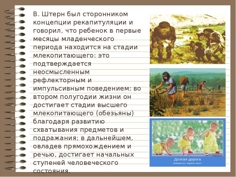 Стадия млекопитающего по штерну. Стадия млекопитающего периодизация штерна.