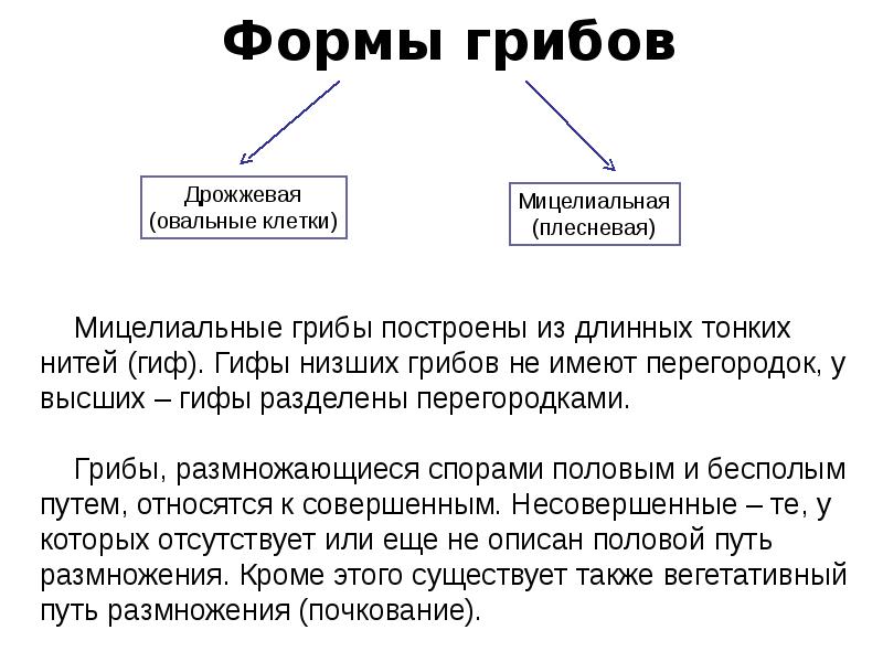 Формы грибов