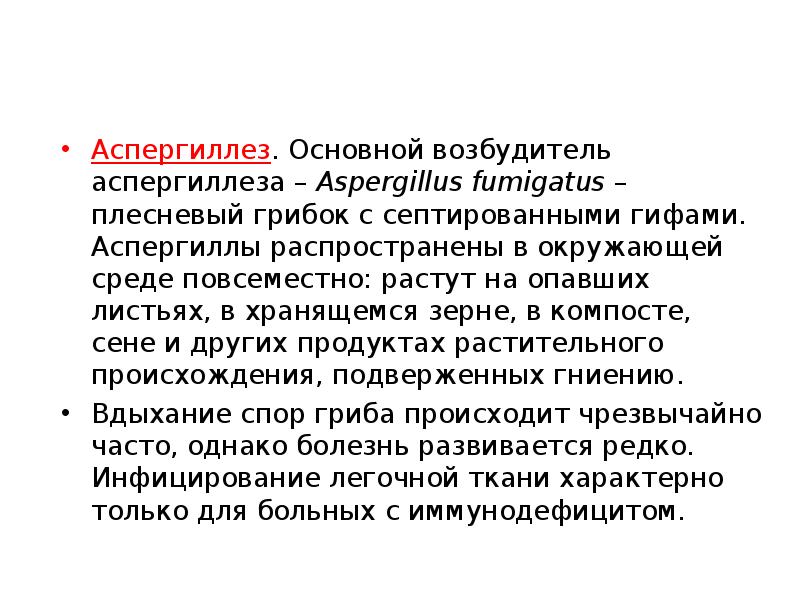 Аспергиллез. Основной возбудитель аспергиллеза – Aspergillus fumigatus – плесневый грибок с