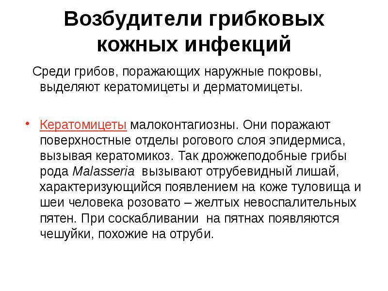Возбудители грибковых кожных инфекций  Среди грибов, поражающих наружные покровы, выделяют