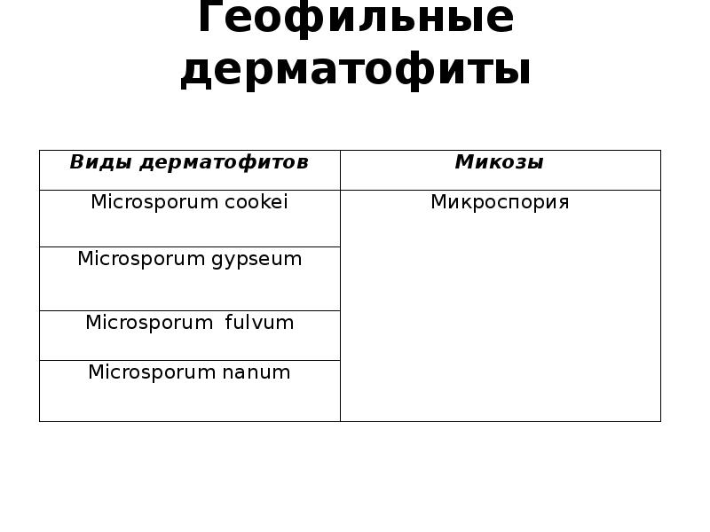 Геофильные дерматофиты