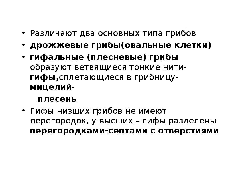 Различают два основных типа грибов дрожжевые грибы(овальные клетки)  гифальные (плесневые)