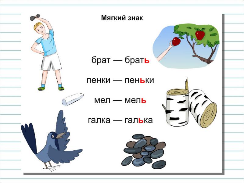 Картинки с ь знаком в конце и середине слова