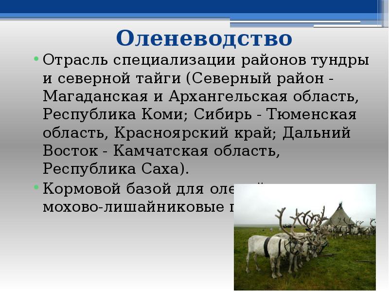 Оленеводство природная зона