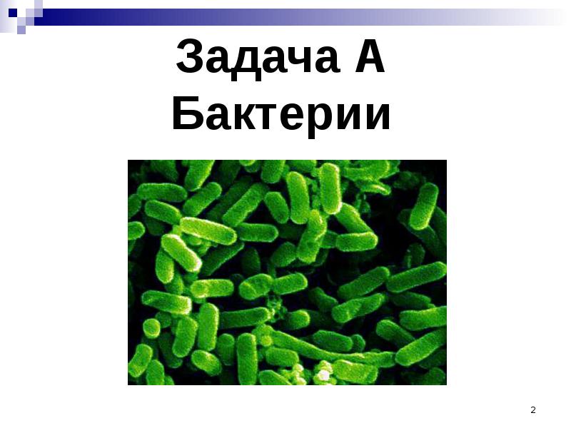 Задача про бактерии. Задания по бактериям. Бактерии задания.