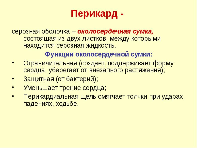 Перикард -
серозная оболочка – околосердечная сумка, состоящая из двух Перикард -
серозная оболочка – околосердечная сумка, состоящая из двух