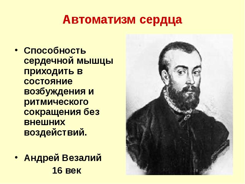 Автоматизм сердца
Способность сердечной мышцы приходить в состояние возбуждения и ритмического Автоматизм сердца
Способность сердечной мышцы приходить в состояние возбуждения и ритмического