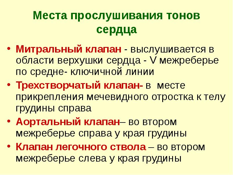 Места прослушивания тонов сердца
Митральный клапан - выслушивается в области верхушки Места прослушивания тонов сердца
Митральный клапан - выслушивается в области верхушки