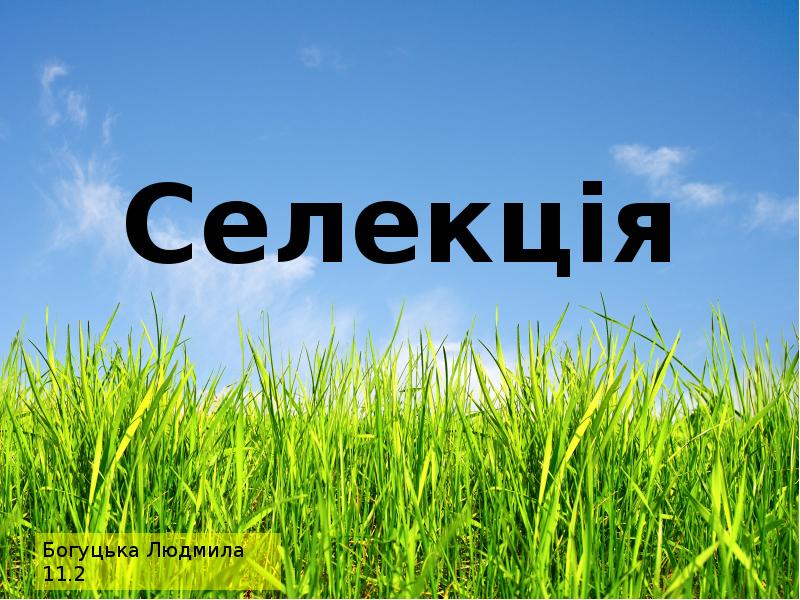 Селекція Селекція