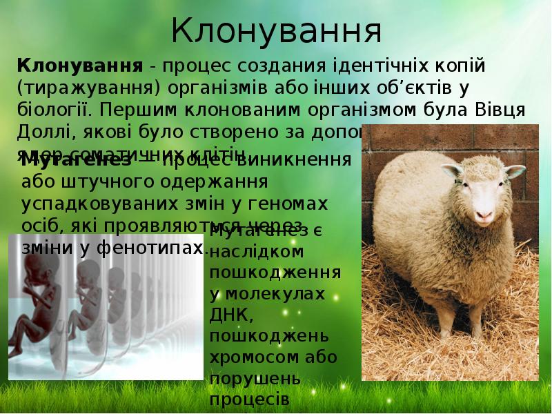 Клонування
Клонування - процес создания ідентічніх копій (тиражування) організмів або інших Клонування
Клонування - процес создания ідентічніх копій (тиражування) організмів або інших