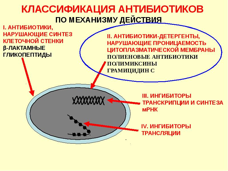 3 группы антибиотиков. Антибиотики нарушающие проницаемость цитоплазматической мембраны. Классификация антибиотиков микробиология. Нарушает Синтез цитоплазматической мембраны антибиотики. Антибиотики классификация по группам микробиология.