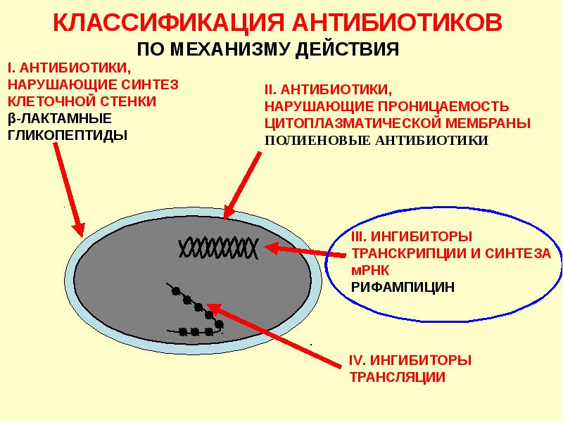 Механизмы антибиотиков. Антибиотики классификация механизм действия. Классификация антибиотиков по механизму действия микробиология. Антибиотики по механизму действия на микробную клетку. Классификация антибактериальных антибиотиков по механизму действия.