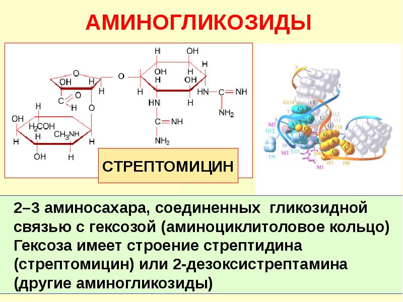 Связь объединяющая. Аминогликозиды химическая структура. Аминогликозиды химическое строение. Аминогликозиды антибиотики строение. Аминогликозиды антибиотики формула.