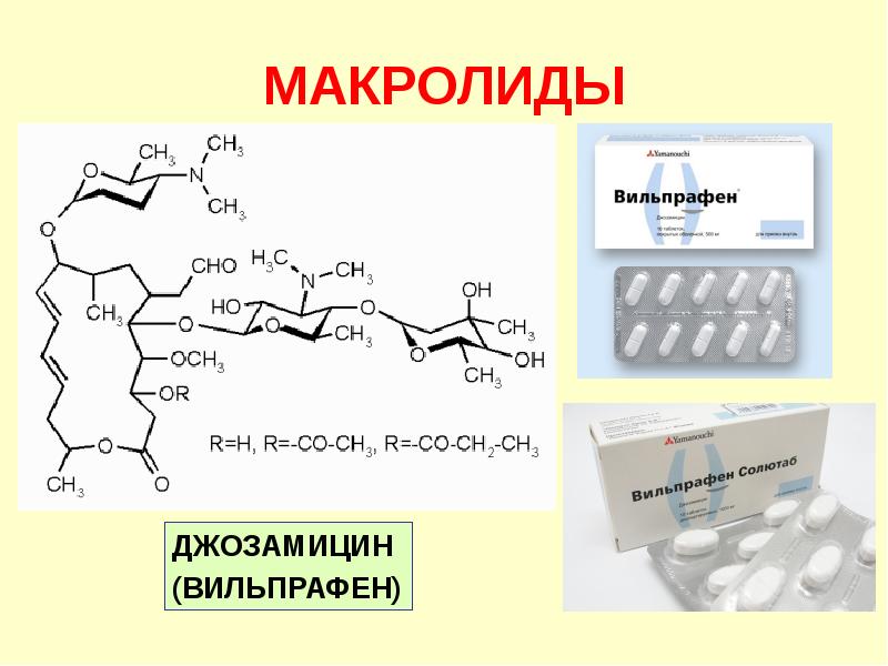 Макролиды антибиотики презентация