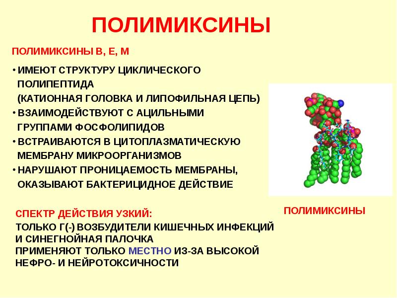 Обладать структура. Полимиксины антибиотики классификация. Циклические полипептиды антибиотики. Циклические полипептиды классификация. Циклические полипептиды механизм действия.