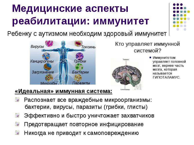 Медицинские аспекты. Медицинский аспект реабилитации. Медицинский (лечебный) аспект реабилитации. Мозг управляет иммунитетом?. Медицинские аспекты виды загрязнений.