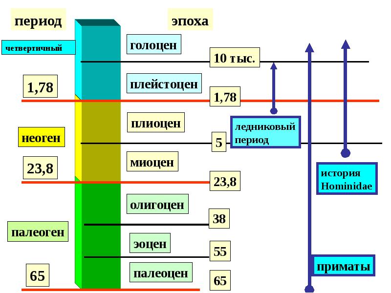 Схема блитта сернандера