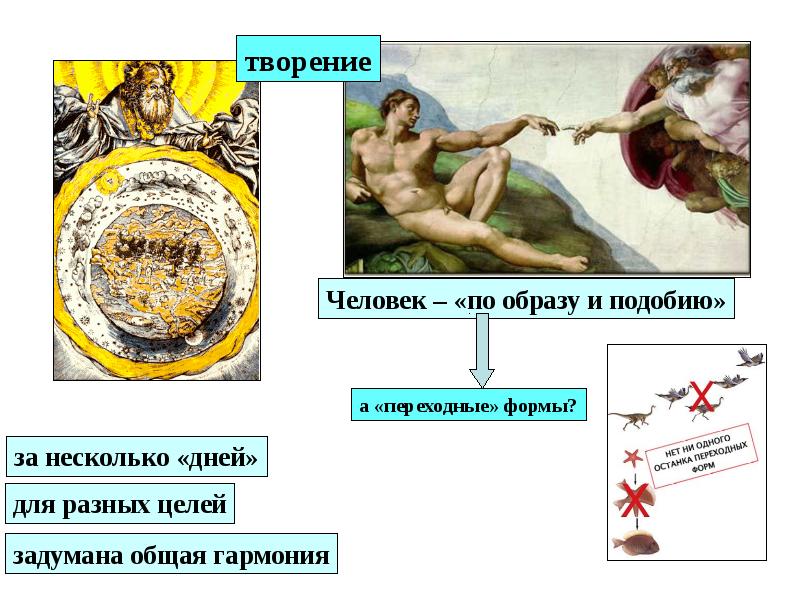 Человека по образу и подобию. Переходные формы человека. Сообщение о Сотворение человека. Эволюция человека Сотворение человека. Этапы Сотворение человека.