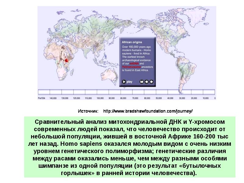 Митохондриальная ева и y хромосомный адам презентация