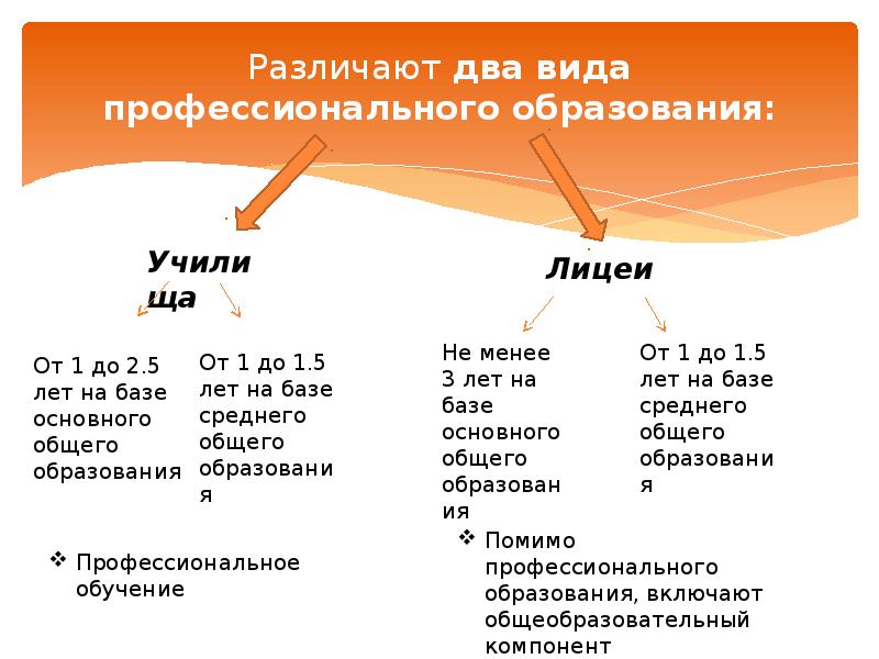 Менее образованы. Виды профессионального образования в России презентация. Два типа профессионального образования. Различают два вида. Различают два вида моделей.